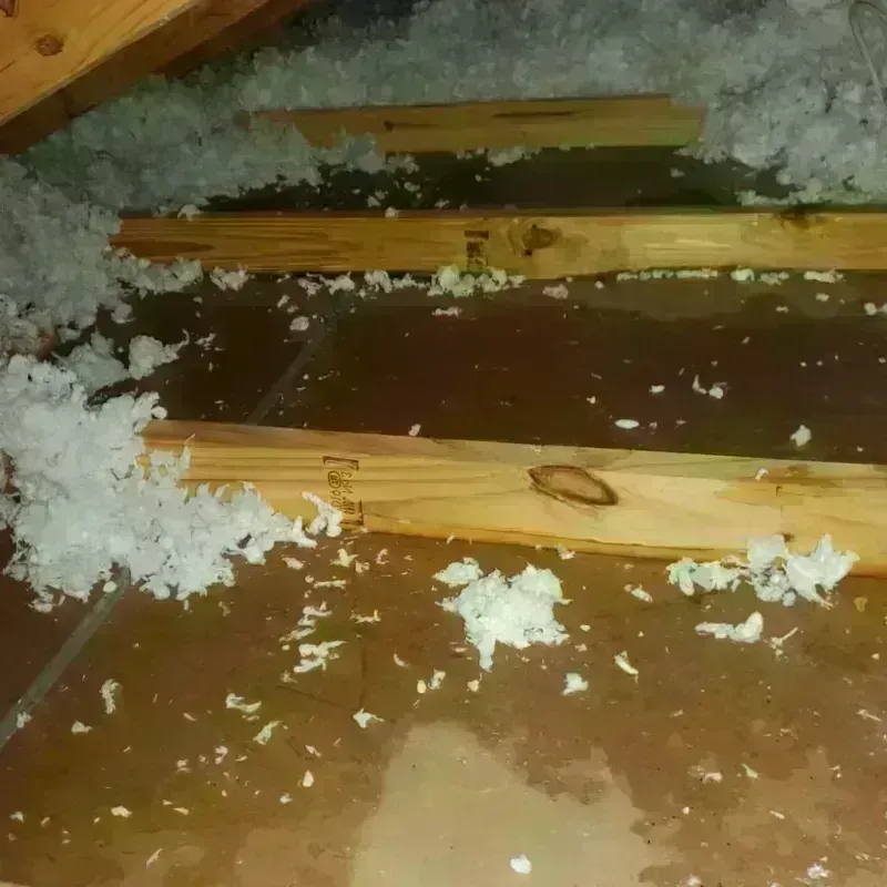 Attic Water Damage in Pecos, NM