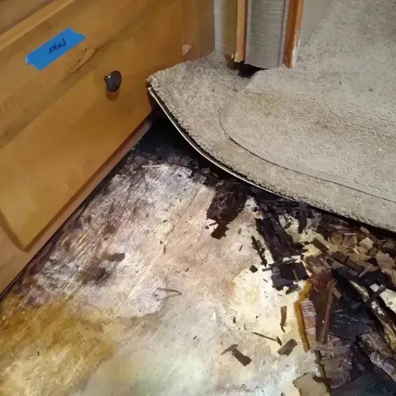 Best Wood Floor Water Damage Service in Pecos, NM